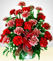 Arreglos Florales - Rojo Ilusin: Claveles Rojos y Rosados