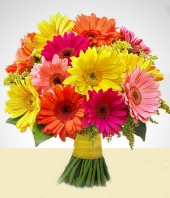 Arreglos Florales - Mirage: Arreglo Multicolor  de Gerberas