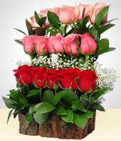 Flores - Cataratas de ensueño con 15 Rosas