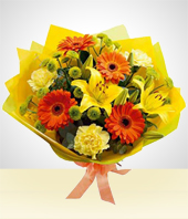 - Bouquet Primaveral: Gerberas y Claveles