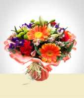 Gerbera - Bouquet Melocotn