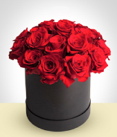 San Valentn - Caja Velvet 24 rosas